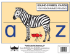 Emergent Reading - Sound Symbol Cards (Set of 29)